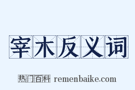 宰木反义词是什么意思的图片
